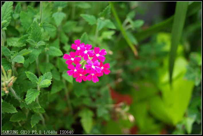 SG109910.jpg
