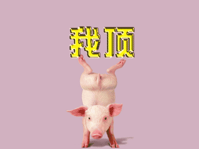 wQkratyv.gif