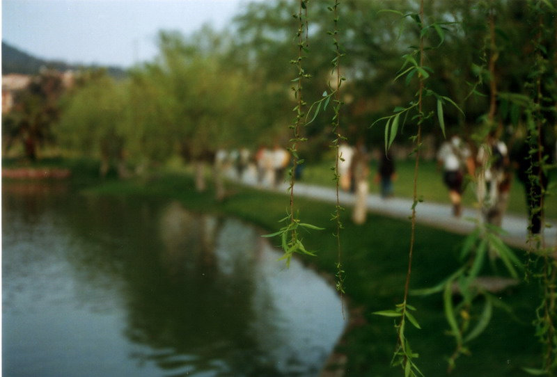 File0617.jpg