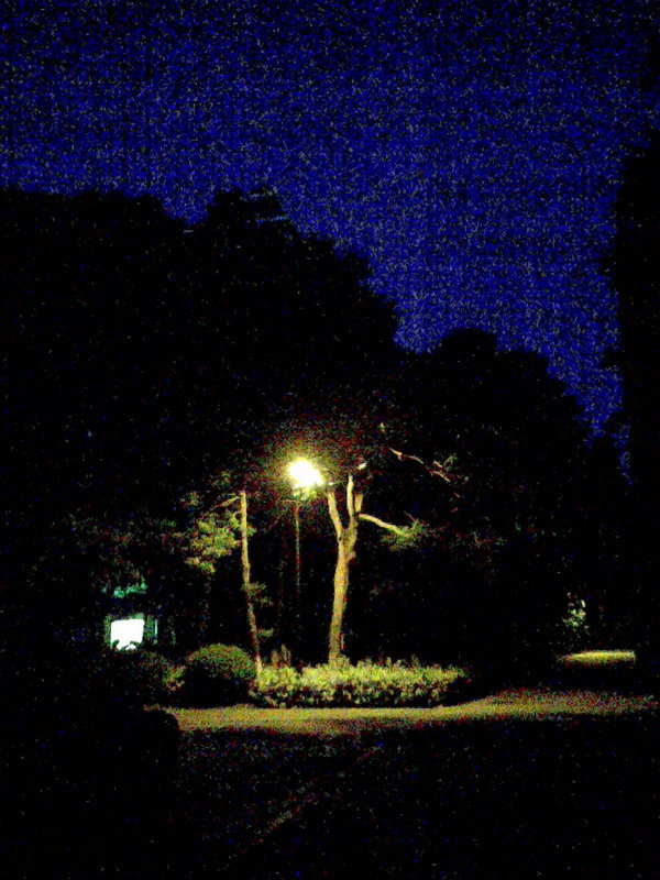 夜1.jpg