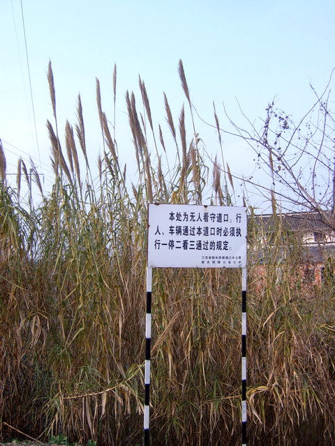 道口.jpg