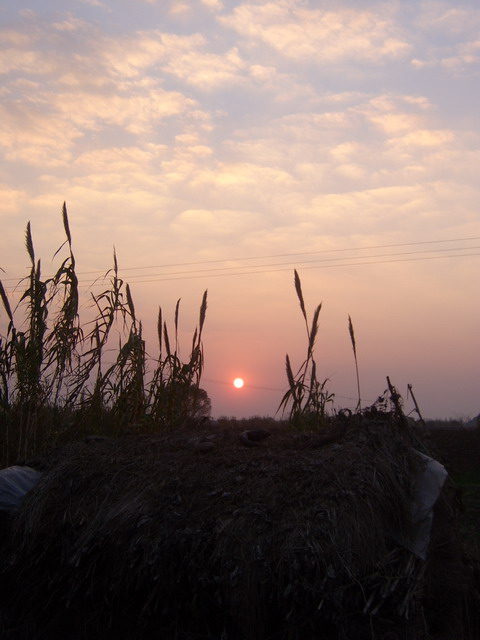 夕阳无限好.jpg