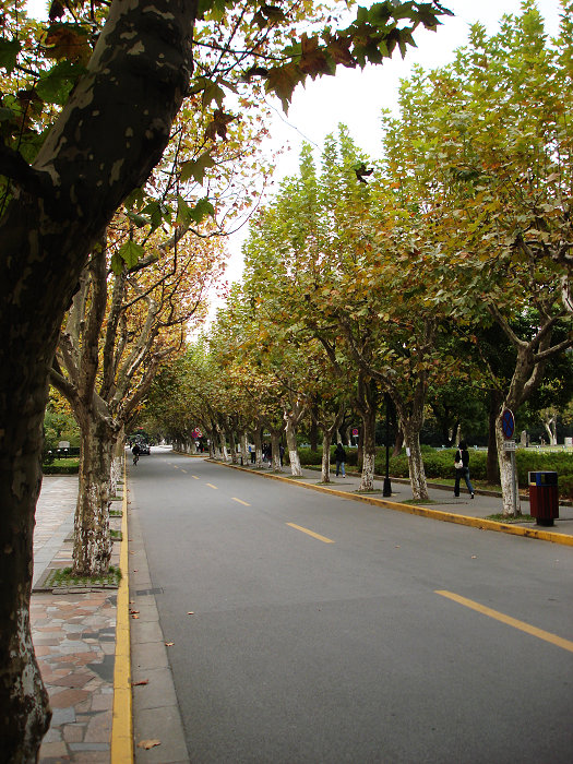 DSC01375.jpg