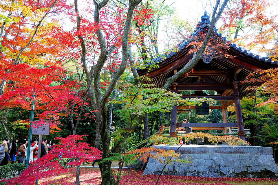 京都金阁寺1