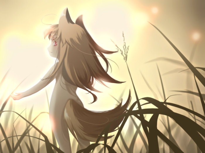 horo.jpg