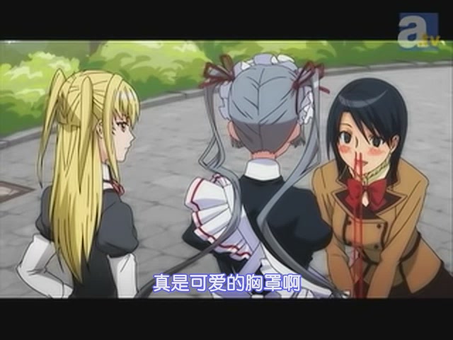 [SOSG][Maria Holic][01][Preview][GB][RV10_AAC][640x480][(022533)18-17-35].JPG