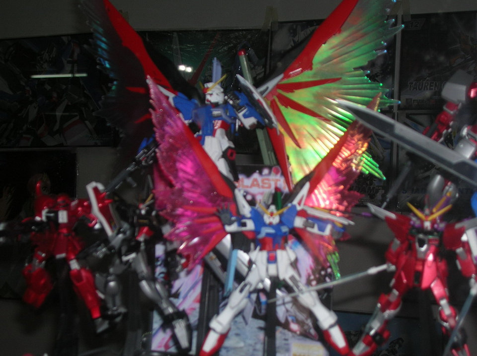 DSCN6140_缩小大小.JPG