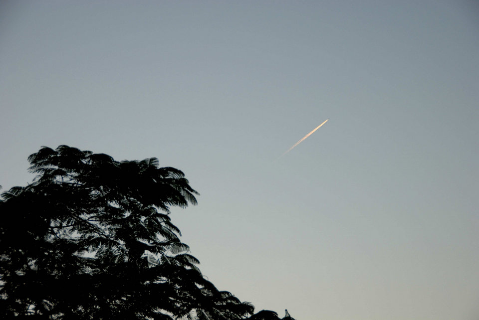 DSC_1726.jpg
