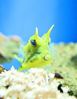 200901200836517c40a.jpg