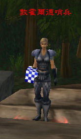 WoWScrnShot_030509_203103.JPG