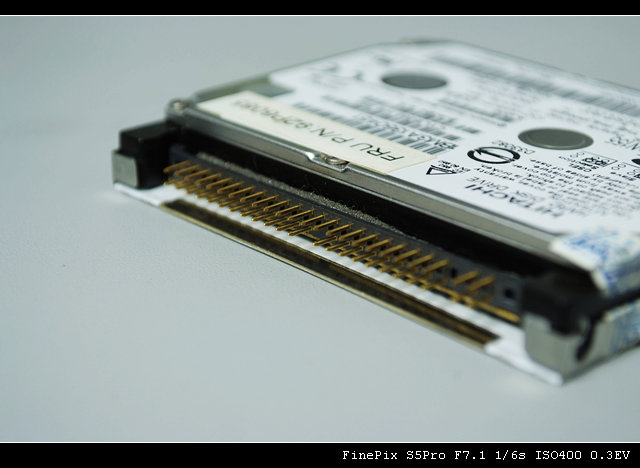 _DSF0078.jpg