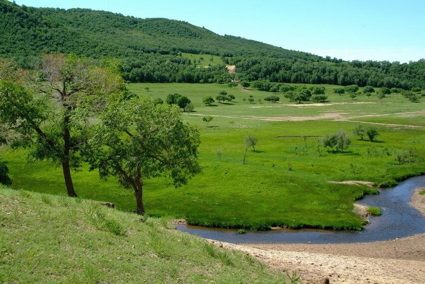437_1229273736.jpg
