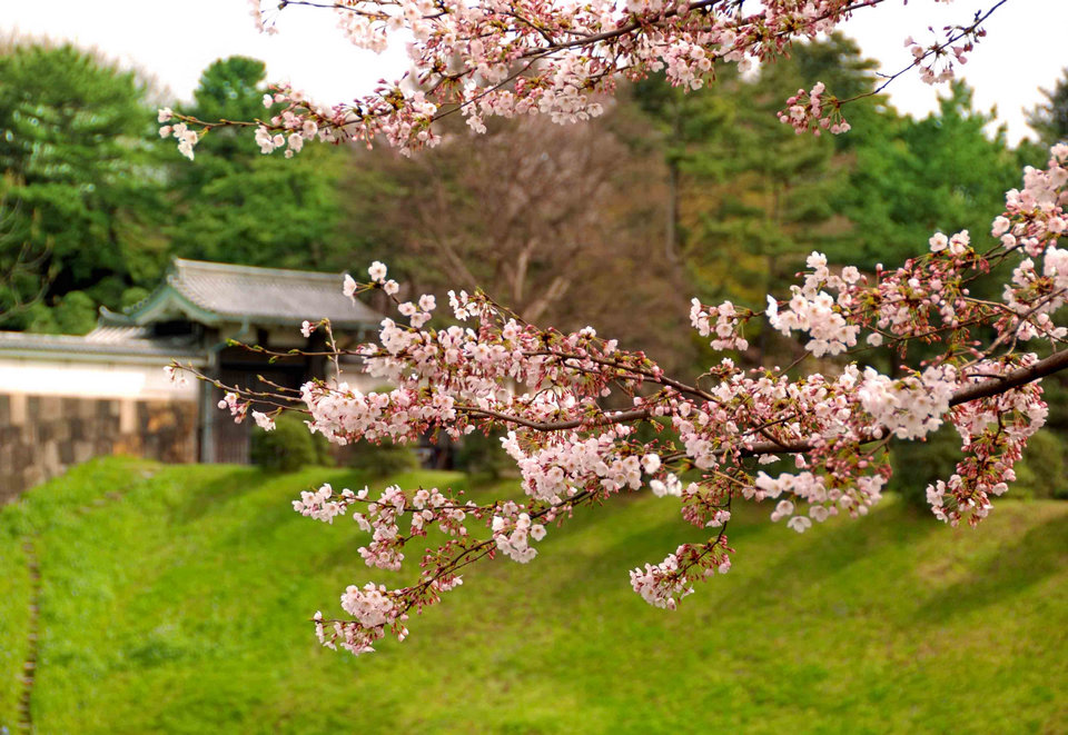 DSC_1960のコピー.jpg