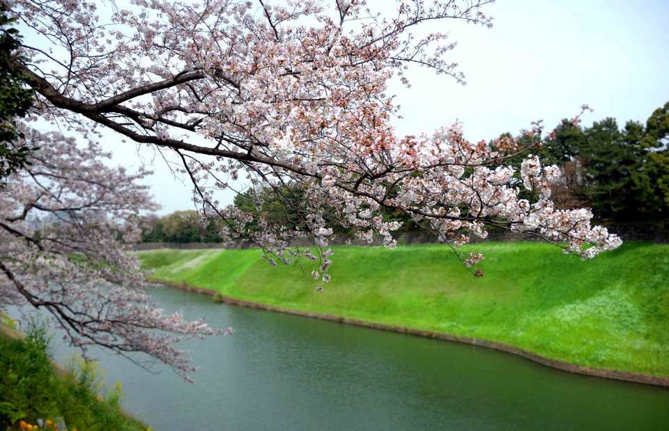 DSC_1959のコピー.jpg