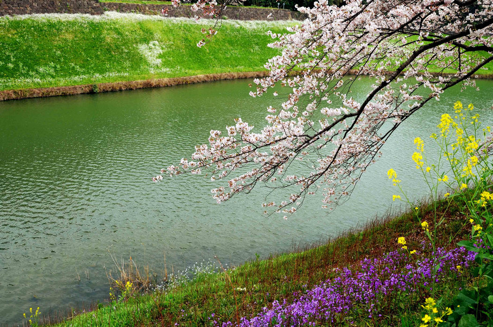 DSC_1948のコピー.jpg