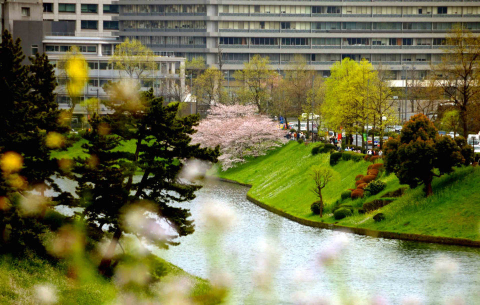 DSC_1966のコピー.jpg