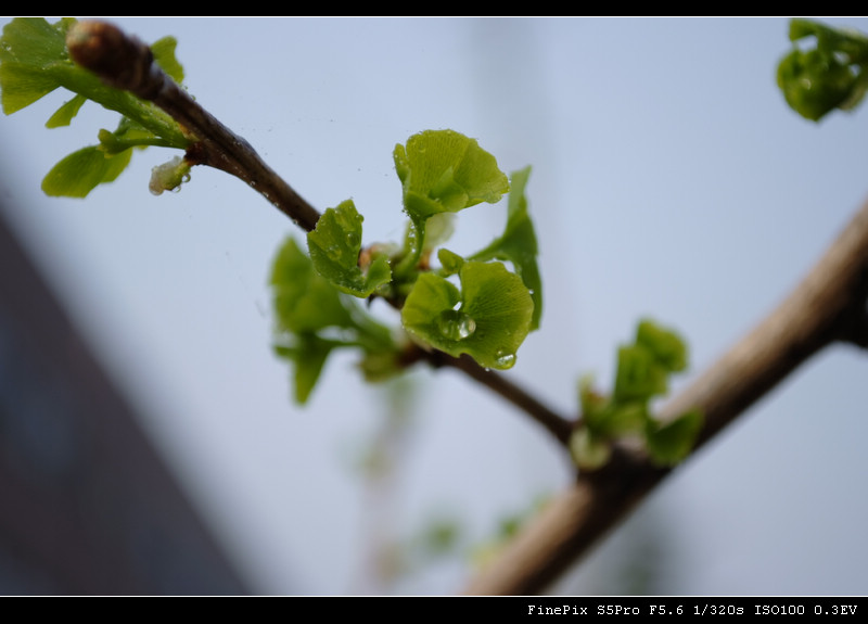 _DSF0697.jpg