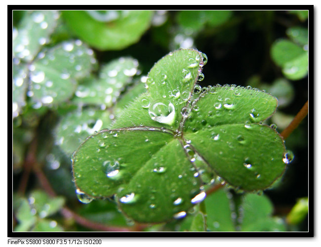 DSCF4089.jpg