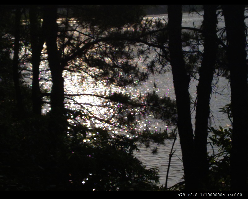 20090502220.jpg