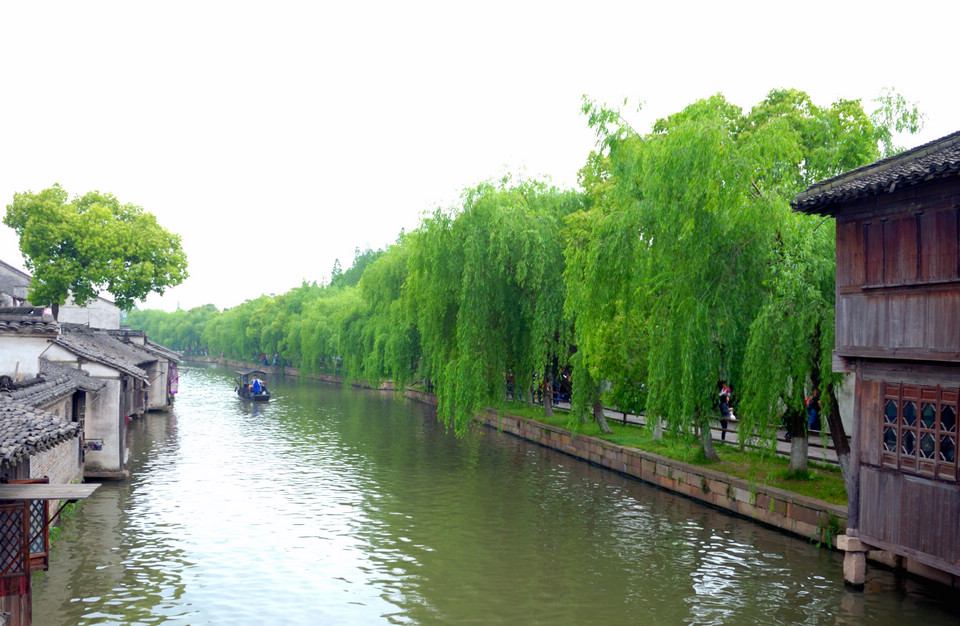 DSC_2320.jpg