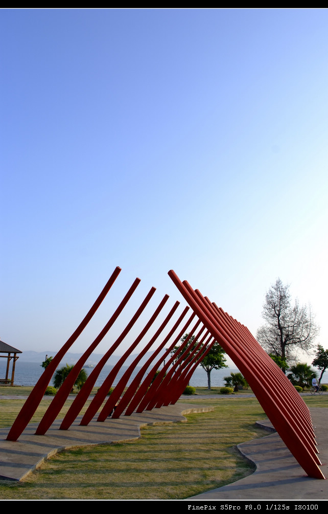_DSF0940.jpg