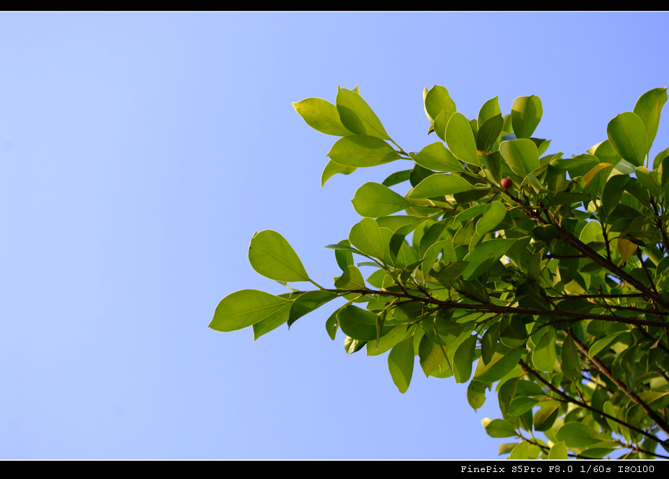 _DSF0937.jpg