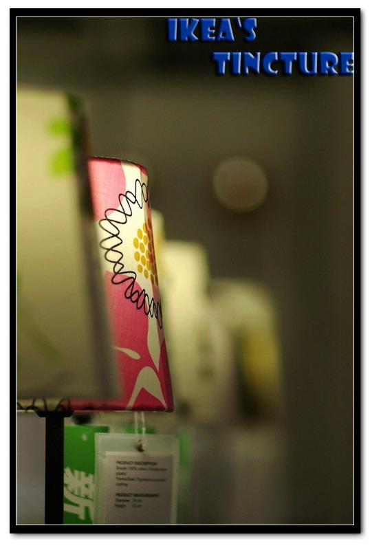IMGP7812副本.jpg