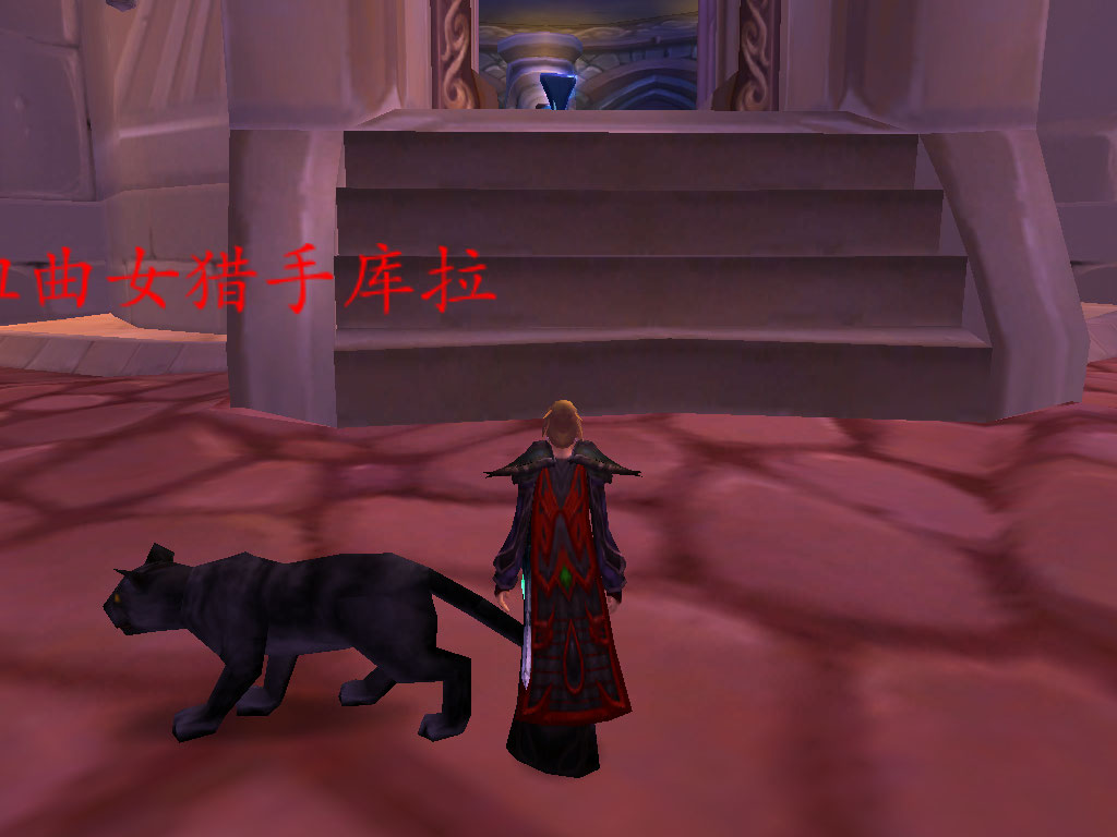 猫女