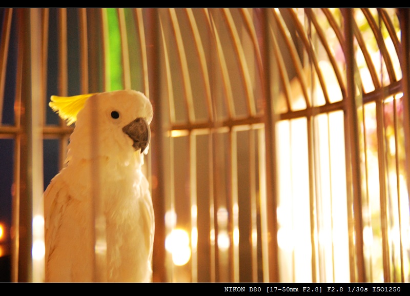 DSC_3618.jpg