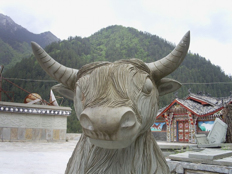 来个特写吧^-^