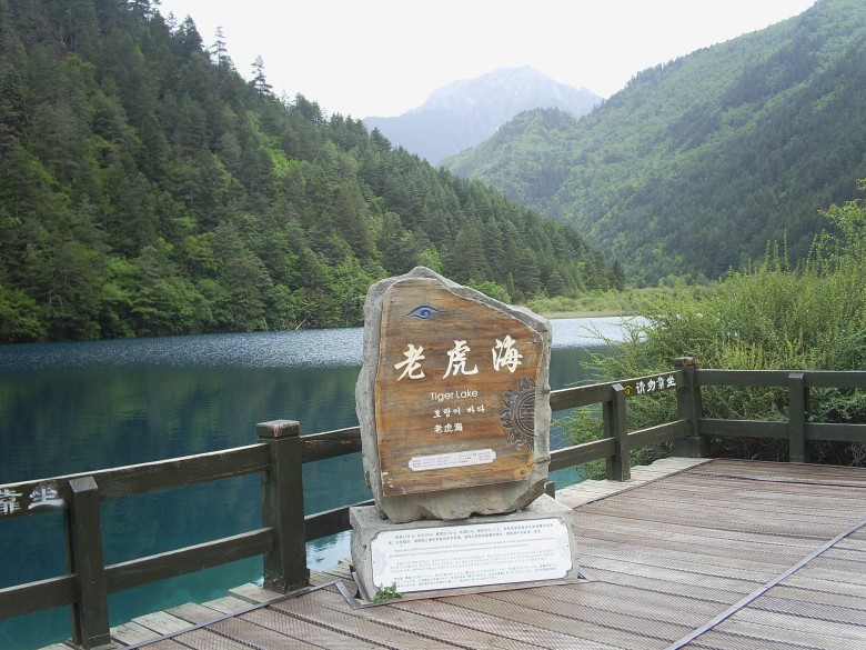 老虎海，个人觉得和犀牛海很像..
