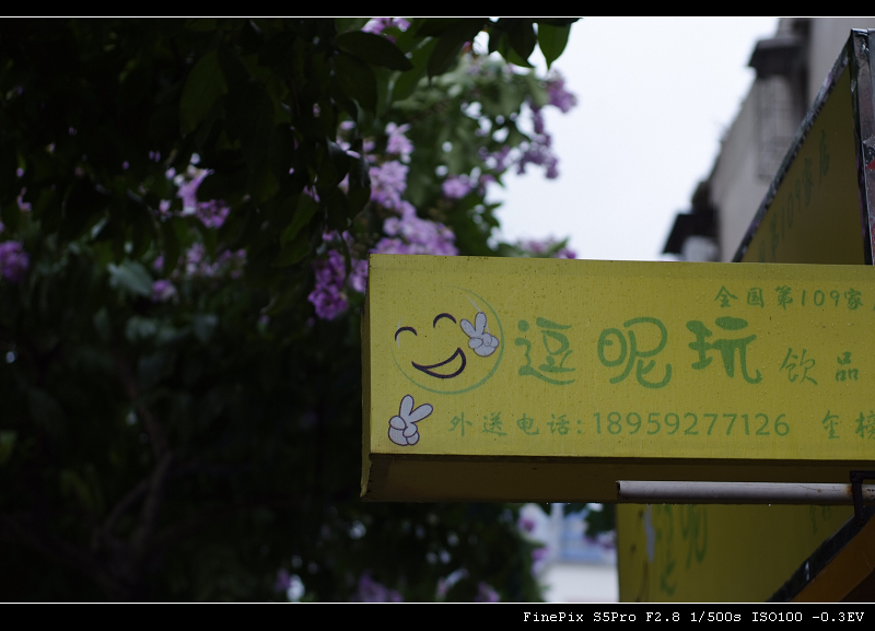 _DSF1407.jpg