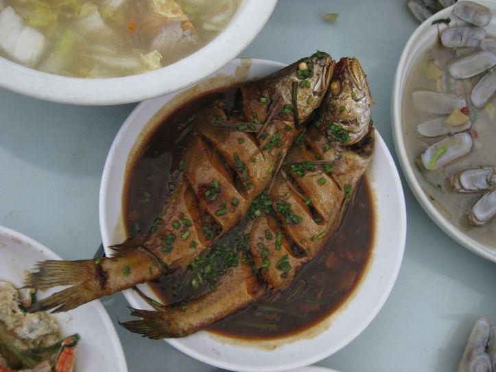 貌似叫米鱼.jpg