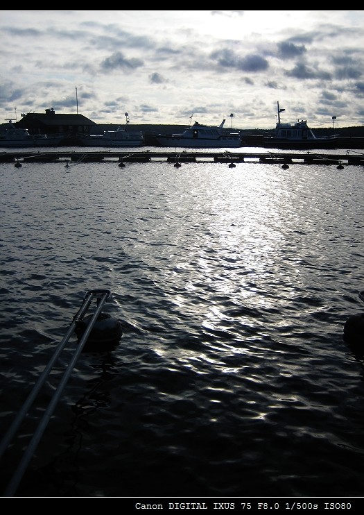 IMG_1834.jpg