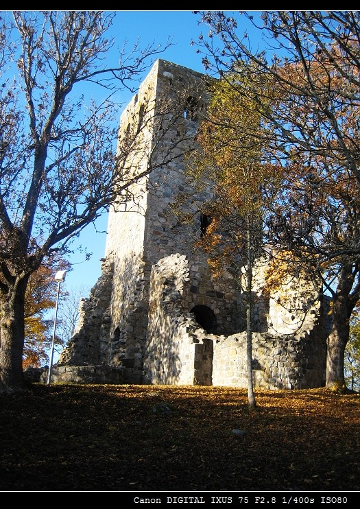 IMG_1867.jpg