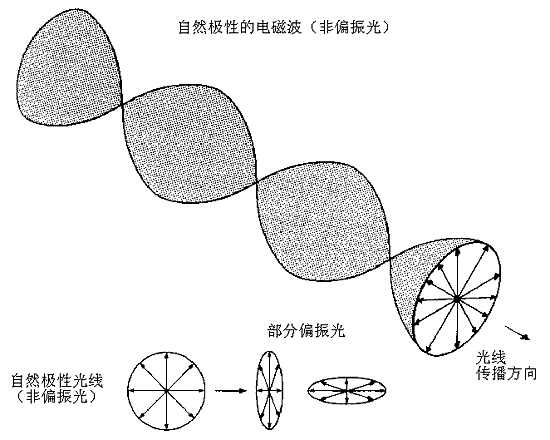 02.gif