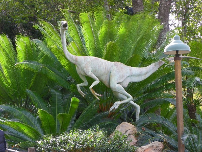 还是Dino~