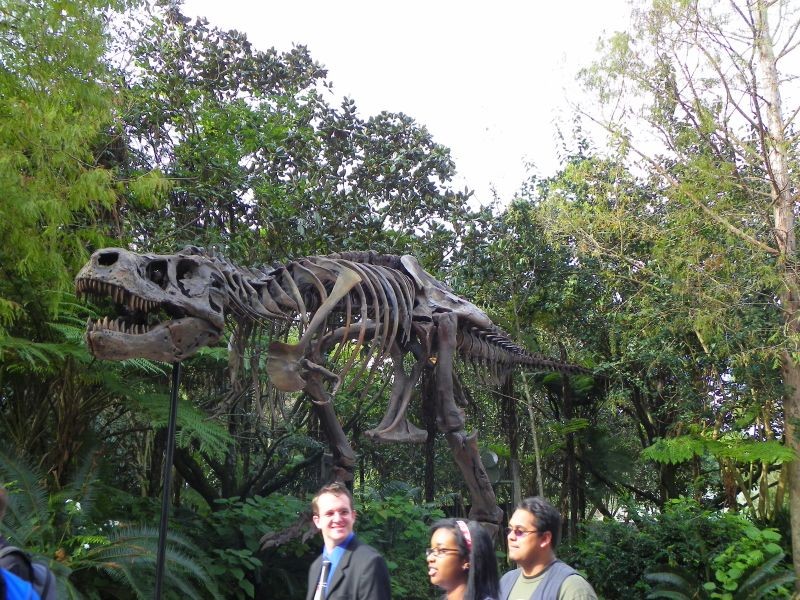 各种Dino~~~