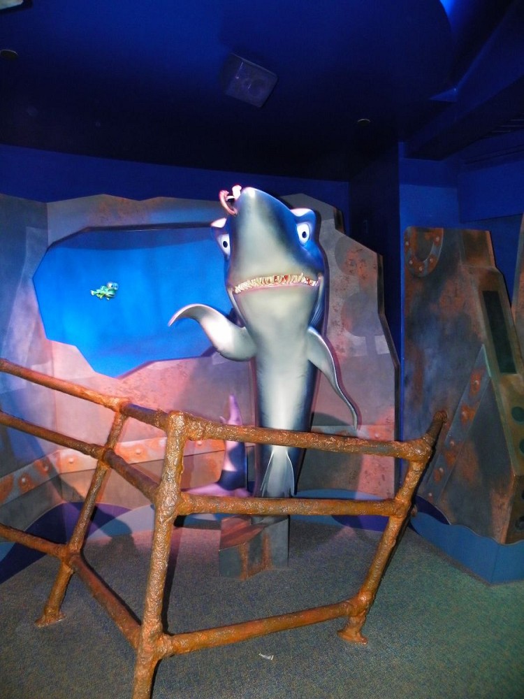 epcot水族馆里的鲨鱼