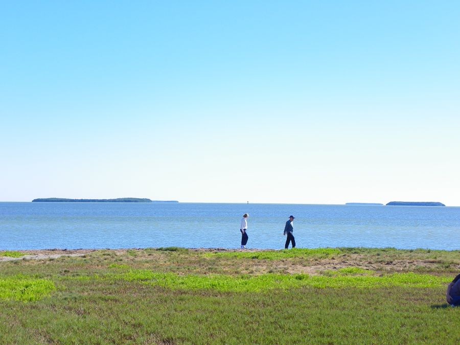 大沼泽公园里的海边，幸福的老夫妇
