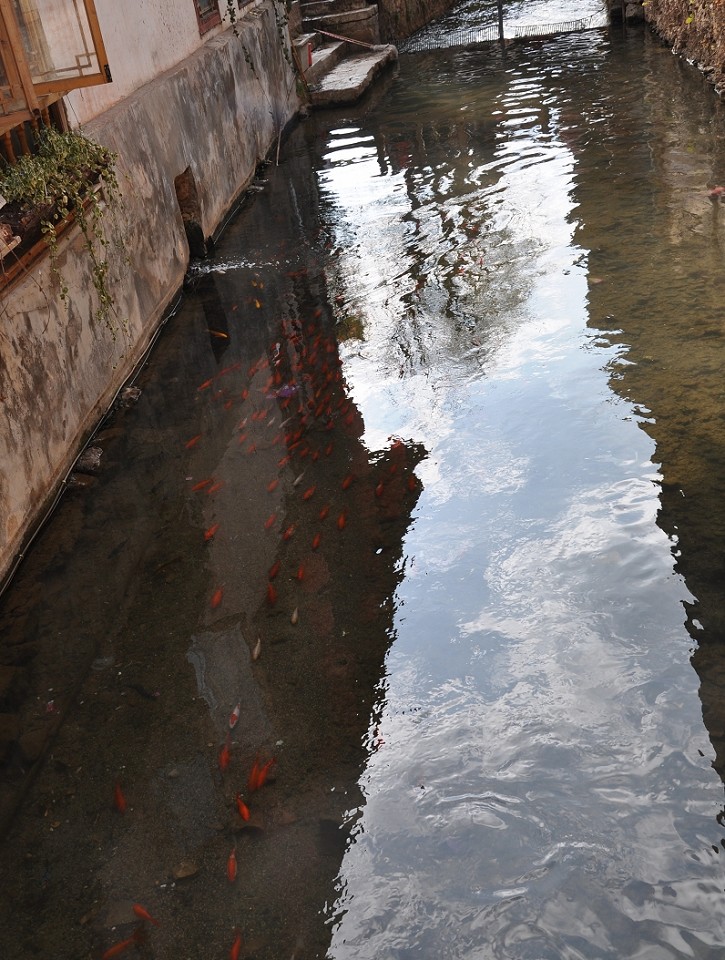 DSC_0512.jpg