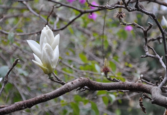 DSC_0560.jpg