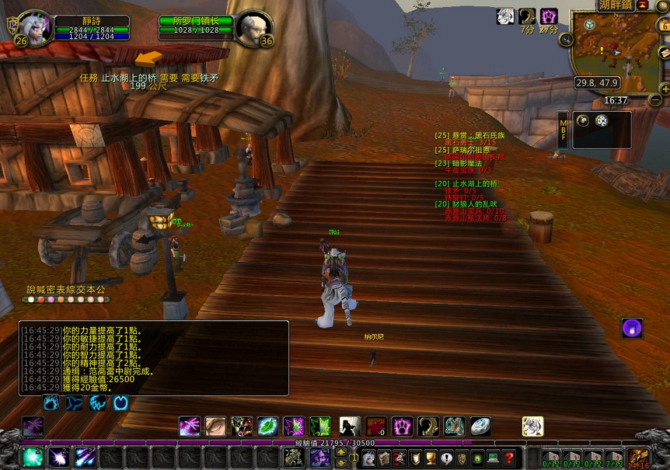 WoWScrnShot_030610_164544.jpg