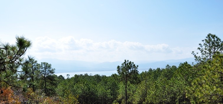 DSC_0805.jpg