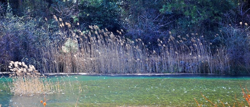 DSC_0798.jpg