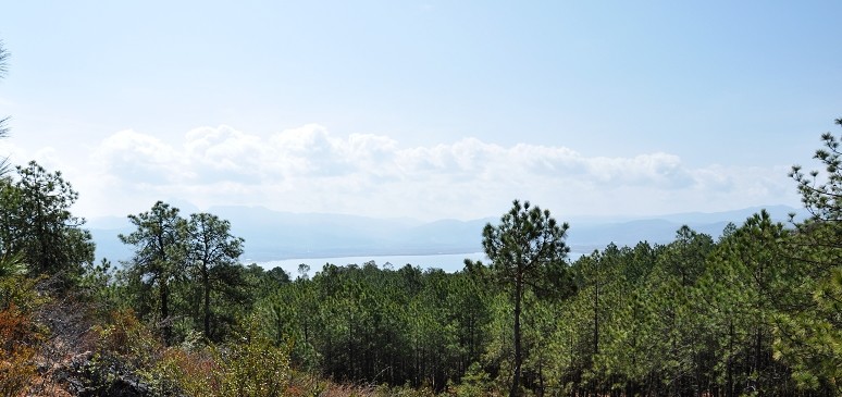 DSC_0806.jpg