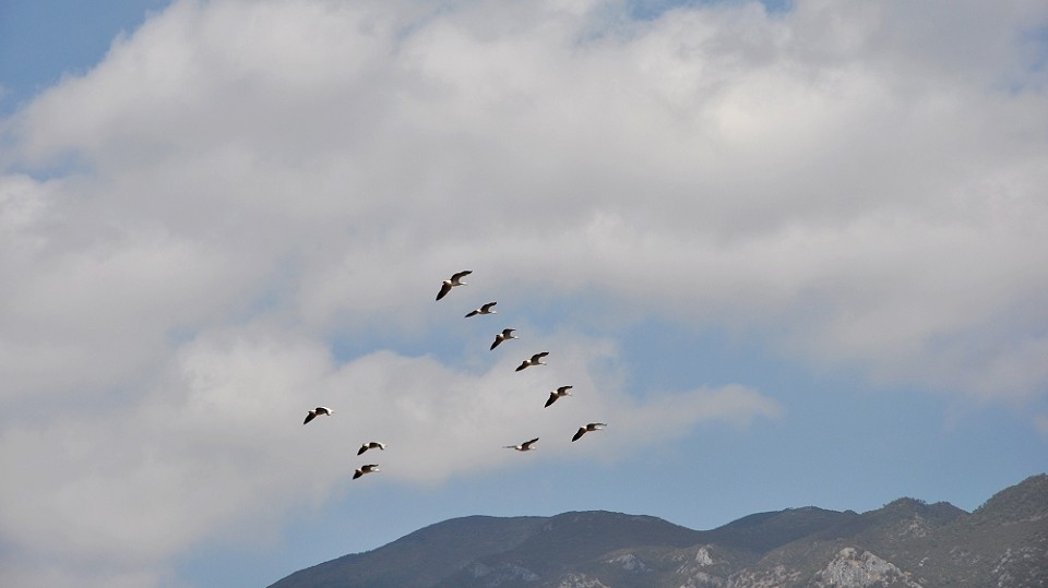 DSC_0850.jpg