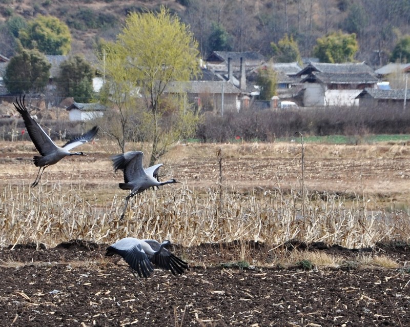 DSC_0823.jpg