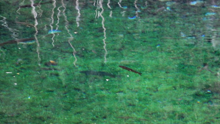 DSC_0889.jpg