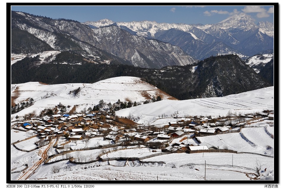 DSC_0097.jpg